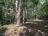 Old Wolf River Rd - Photo 5