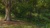 0 Gravely Valley Rd - Photo 20