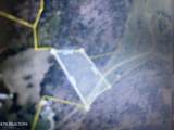  Tellico Camp Rd - Photo 1