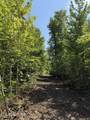  Sheep Ranch Rd - Photo 18