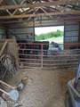  Promiseland Road - Photo 10