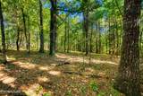 218 Lonesome Pine Lane - Photo 14