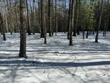 218 Lonesome Pine Lane - Photo 16