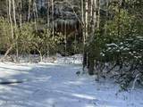 218 Lonesome Pine Lane - Photo 21