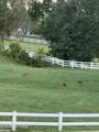 3287 Town Creek Rd - Photo 60