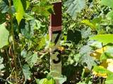 Lot 73 Tomahawk Rd - Photo 2