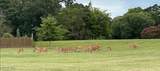 2225 Henge Point Lane - Photo 44