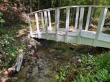 163 Mineral Springs Lane - Photo 12