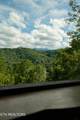 317 Brown Wren Way - Photo 3