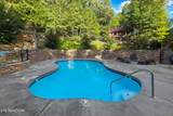317 Brown Wren Way - Photo 40