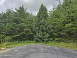  Jones Creek Lane - Photo 4