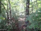  Governor John Sevier Hwy - Photo 3