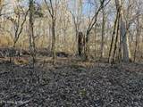  Blue Springs Rd - Photo 4