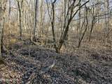  Blue Springs Rd - Photo 5