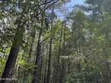  Hannah Davidson Rd - Photo 1