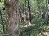  Hannah Davidson Rd - Photo 11