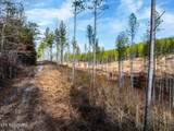 0 Prigmore Ridge Road - Photo 11