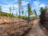 0 Prigmore Ridge Road - Photo 12