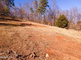 Lot 34 Pioneer Drive - Photo 3