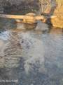1693 Steve Brown Rd - Photo 31