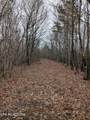 0 French Mill Rd - Photo 6