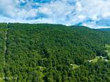 956 Sherm Mountain Rd - Photo 5