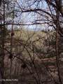  Lot 0000 Ogle Drive - Photo 10