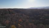  Lot 116 Hiwassee View Drive - Photo 10