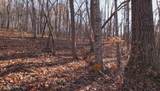  Lot 116 Hiwassee View Drive - Photo 2