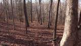  Lot 117 Hiwassee View Drive - Photo 9