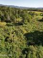 317 Singleton Hollow Rd - Photo 13