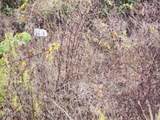 Lot 20 Apache Rd - Photo 4