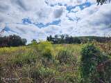 3.94ac Anderson Rd - Photo 6