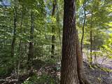 Lot 6 Saddle Brook Way - Photo 9