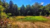 1794 Holloway  Ridge Rd - Photo 39