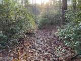 435 Cumberland Cove Road Rd - Photo 5