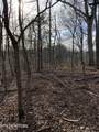 4.38 ac Shiloh Rd - Photo 7