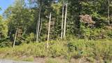 4.38 ac Shiloh Rd - Photo 8