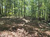  Timber Ridge Rd - Photo 10