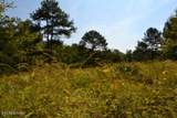 17.13ac Taylor Place Rd - Photo 7