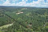 2519 Lower River Rd - Photo 34
