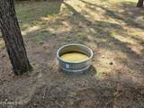 2519 Lower River Rd - Photo 37