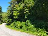 Lot 39 Sugar Maple Way - Photo 2