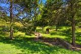 1356 Jayell Rd - Photo 49