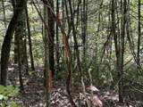 Lot 99E Black Powder Ln - Photo 2