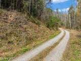  Mossy Cove Way - Photo 10