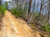  Mossy Cove Way - Photo 14