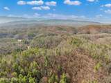  Mossy Cove Way - Photo 18