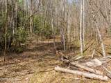  Mossy Cove Way - Photo 9