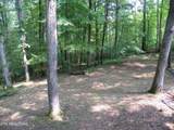 1555 Brown Creek Drive - Photo 16
